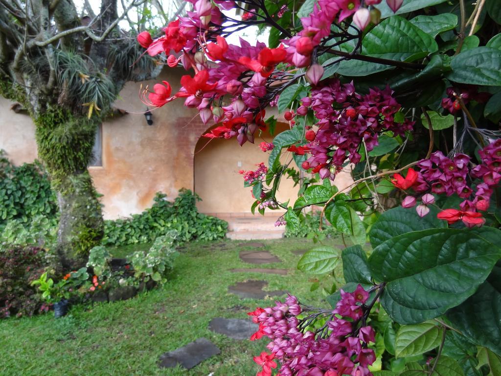 ホテルValle Primavera ボケテ エクステリア 写真